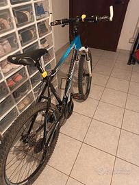 Bicicletta MTB Lombardo Sestriere 350