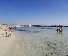 Mare puglia Salento torre Guaceto/apani Brindisi