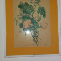 Quadro cornice legno bianco Roses Auricules fiori