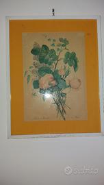 Quadro cornice legno bianco Roses Auricules fiori