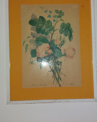 Quadro cornice legno bianco Roses Auricules fiori