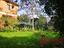 Immagine 6
