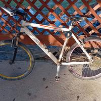 Mountain bike bandiziol 