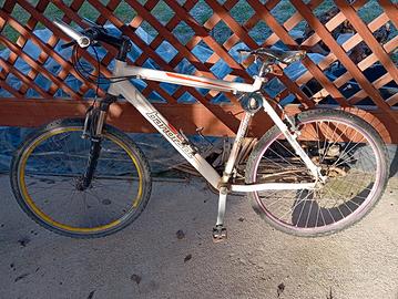 Mountain bike bandiziol 