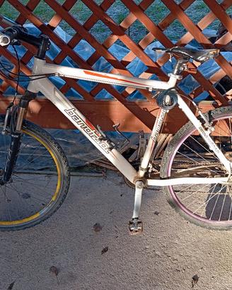 Mountain bike bandiziol 