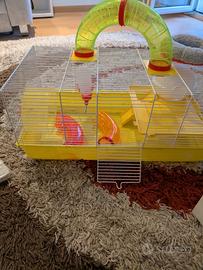 gabbietta criceto + acessori