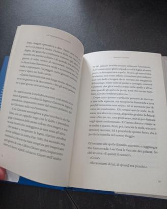 La fisarmonica verde di Andrea Satta