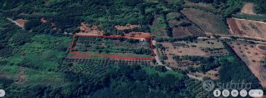 ROCCAROMANA Terreno agricolo con casa rurale