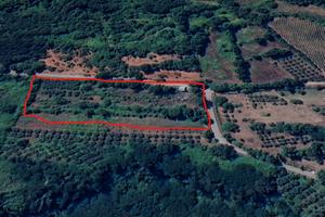 ROCCAROMANA Terreno agricolo con casa rurale