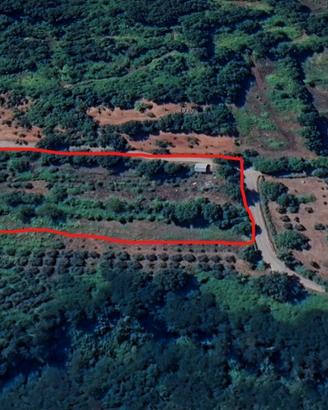ROCCAROMANA Terreno agricolo con casa rurale