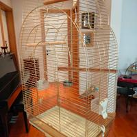 Gabbia per pappagalli in metallo dorato