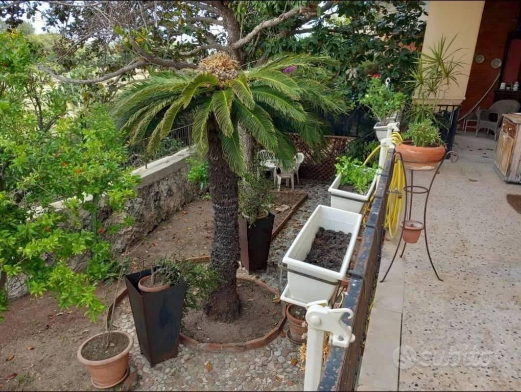 Appartamento – Siracusa, Acradina - Vista 2