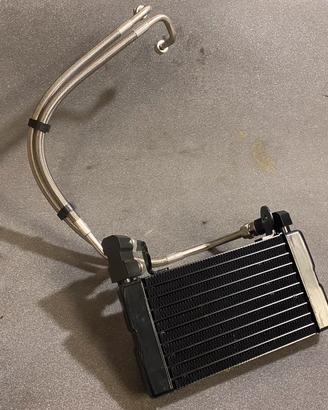 Radiatore olio Ducati scrambler