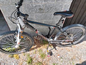 bici mountain bike.