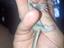 Immagine 2