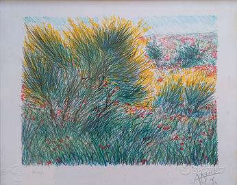 Litografia Franco Azzinari