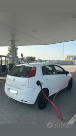 Fiat  grande punto benzina metano 226.00 km