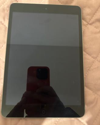 iPad 4mini