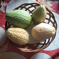 semi  chayote