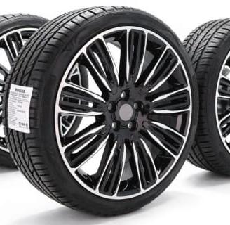 CERCHI con pneumatici invernali land rover