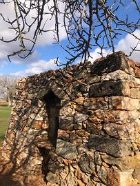 Trullo antica pajara con forno