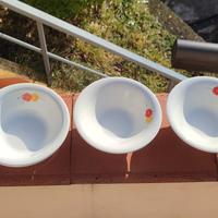 5 piatti con decorazione floreale