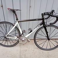 Giant CRT C3 carbonio