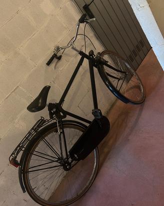 Bicicletta unisex