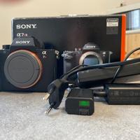 Sony a7rii  + sigma 100-400mm F 5-6.3