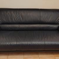 Divani in pelle