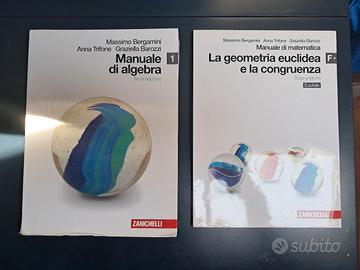 Manuale di Algebra, Zanichelli, Vol. 1,  3a Ed.