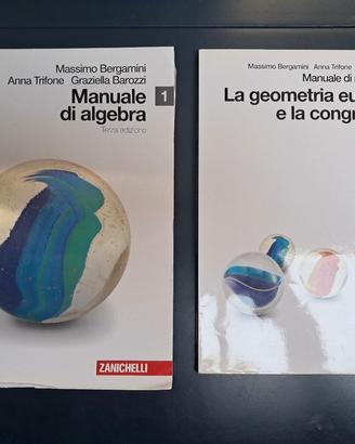 Manuale di Algebra, Zanichelli, Vol. 1,  3a Ed.