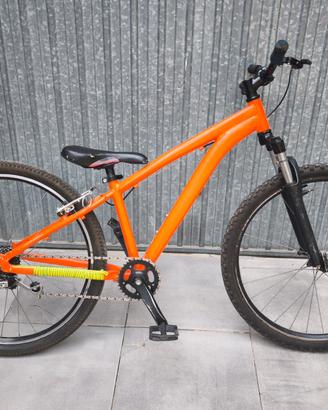 bicicletta 