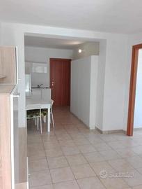 Monterotondo Bilo ristrut lumin panoram cantina p