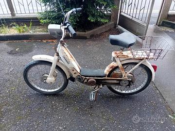motorino ciao
