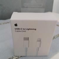 Cavo APPLE carica RAPIDA 2mt