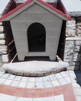 Cuccia per cani