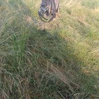 Pinza per escavatore