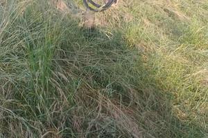 Pinza per escavatore