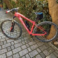 mtb. bottecchia 