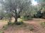 Immagine 9