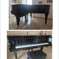 Pianoforte a coda Schimmel Fridolin F 156 T