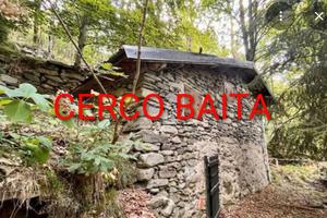 Baita da ristrutturare o già ristrutturata