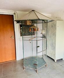 Gabbia uccelli papagalli