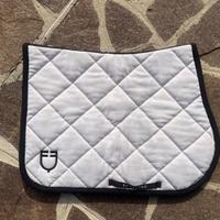 Sottosella Equestro