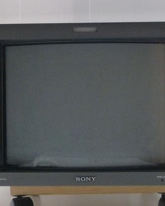Monitor Sony BVM 14"