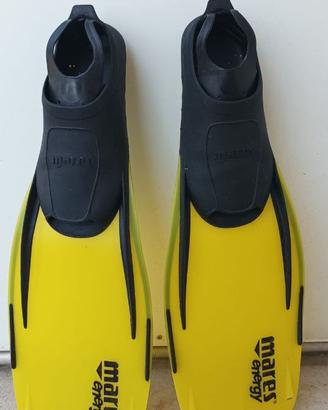 Pinne 36/37 Mares