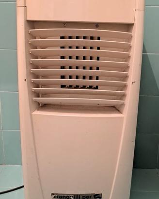 Condizionatore Pinguino