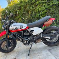 Scrambler Urban Motard Ducati 800