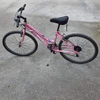 Mountain bike Nuzzi L36